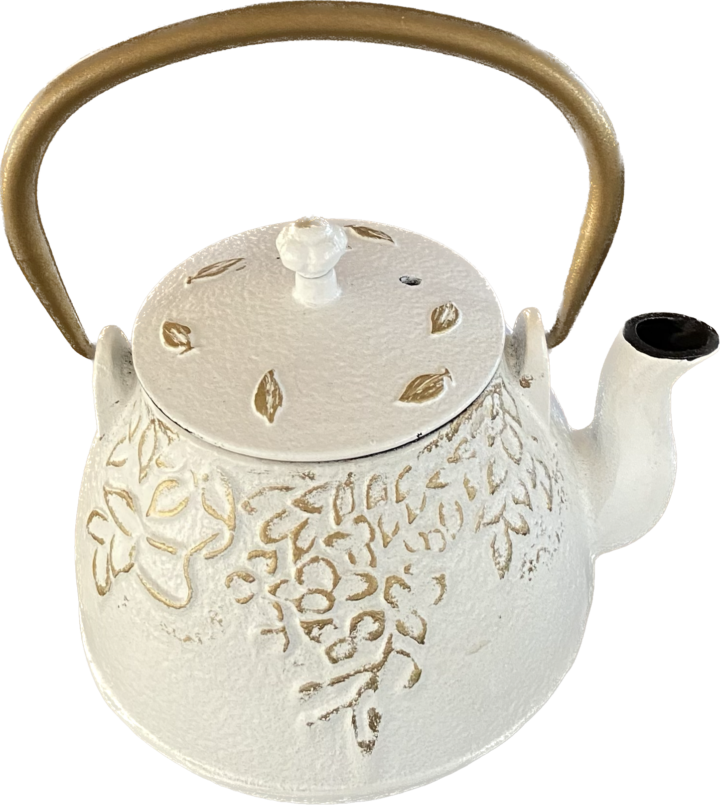 Cast Iron Teapot & Tisane Set