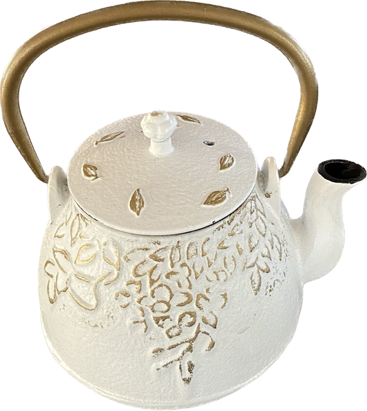 Cast Iron Teapot & Tisane Set